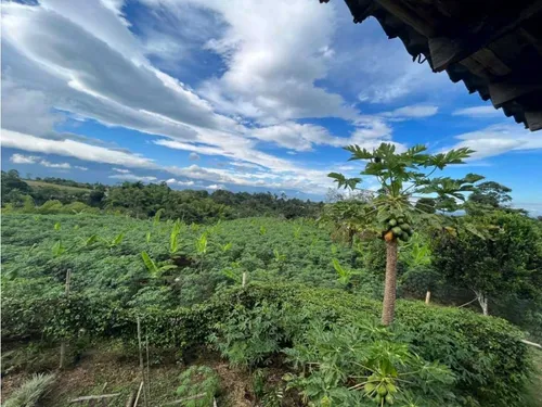Finca Para La Venta De 5 Cuadras En Circasia