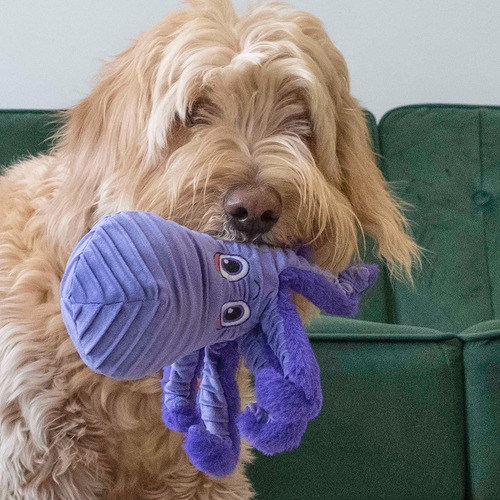 Kong Cuteseas, Juguete Para Perro Con Sonido