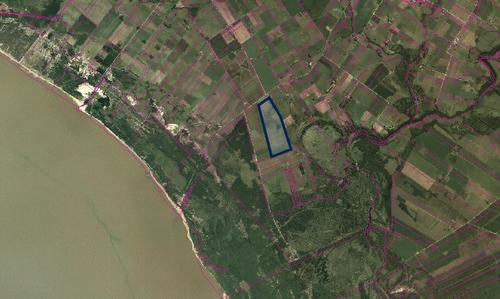 Venta De Establecimiento, Campo Rincón De Cufré San José