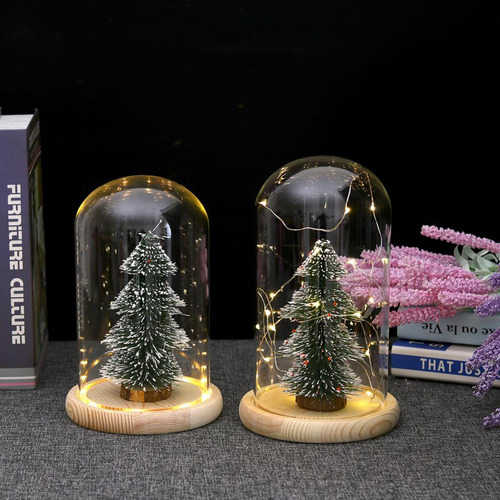 Glass Cloche Con Led Fairy Lights Mi Mi