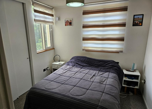 Departamento En Arriendo De 3 Dorm. En Concepción