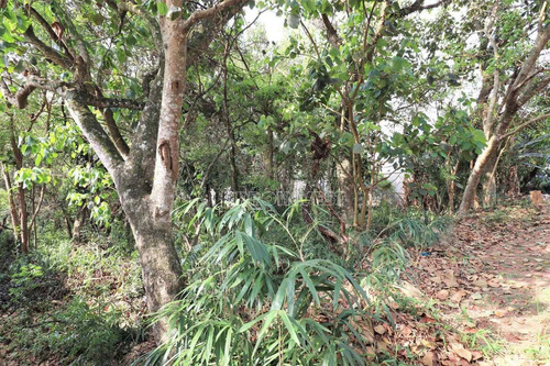 Imagem 15 de 30 de Terreno À Venda, 1187 M² Por R$ 910.000,00 - Palos Verdes - Carapicuíba/sp - T06580