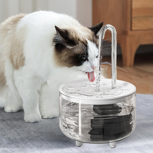 Fuente De Agua Para Perros Para Gatos Para Beber Fuente Para