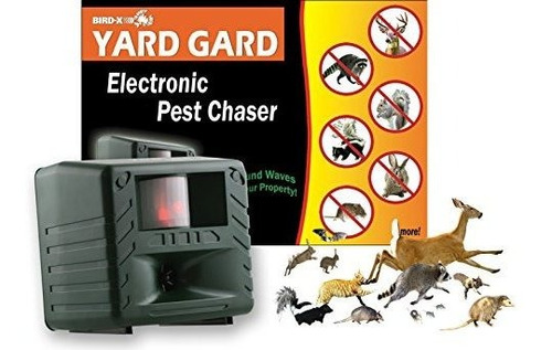 Imagen 6 de 7 de El Repelente Electrónico De Animales Bird-x Yard Gard