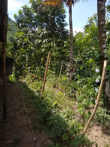 Venta Finca La Mesa-via San Javier (af-4857).