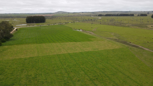Campo Ganadero En Rocha 350ha (ref: Atm-7301)