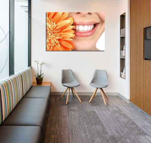 Cuadro 50x75cm Sonrisa Perfecta Odontologia Dientes Dentista