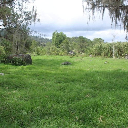 Hermoso Terreno En Venta En Una De Las Zonas Mas Solicitadas En República Dominicana La Joya Que Es Constanza