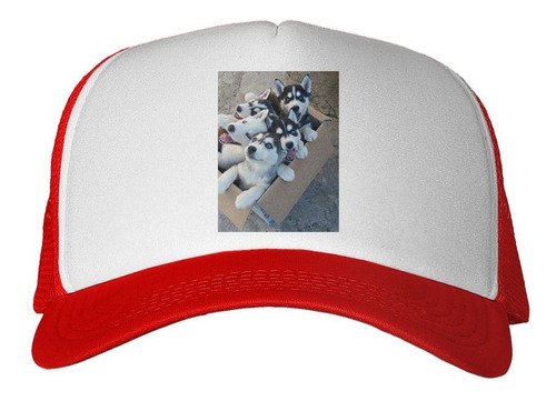 Gorra Husky Siberiano Cachorros M2