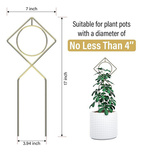 (c) Enrejado Metálico Para Plantas Trepadoras En Macetas, Pl