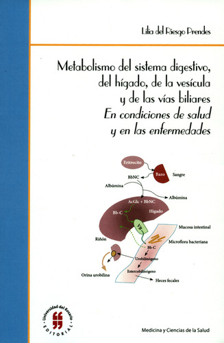 Libro Metabolismo Del Sistema Digestivo Del Hígado, De La Ve