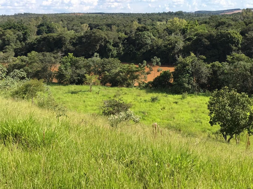 Imagem 7 de 30 de Chácara Em Centro, Martinho Campos/mg De 750m² 1 Quartos À Venda Por R$ 60.000,00 - Ch2330369-s