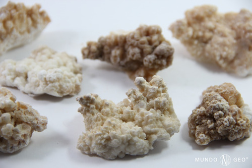 Imagen 2 de 2 de Piedra Caliza Coraloide Nro. 6