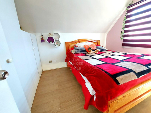 Remodelada Con Líneas Simples Y Sectores Amplios