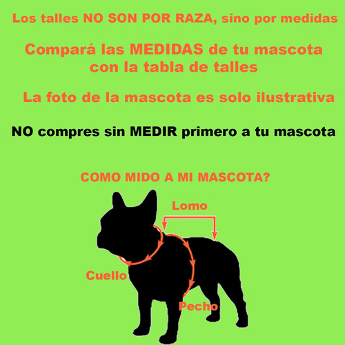 Imagen 4 de 10 de Chaleco Inflado Muy Abrigado Talles Grandes