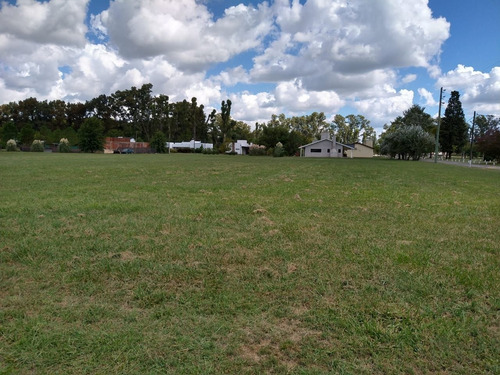 Imagen 2 de 7 de Terreno En Venta En Lobos