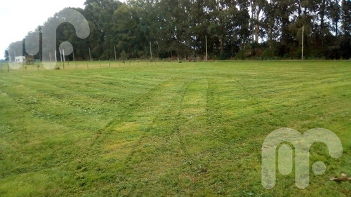 Imagen 8 de 19 de Terreno - Arana