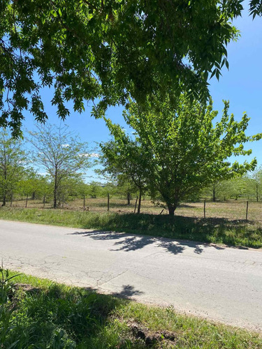 Imagen 5 de 14 de Dueño Vende Hermoso Lote En Villa Elisa, La Plata Calle 409