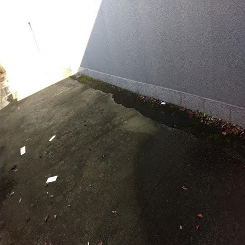 Imagem 3 de 11 de Galpão Para Aluguel, 250.0m² - 2996