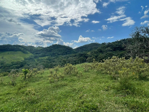Imagem 3 de 21 de E12 Garanta Já Seu Terreno Direto Com O Proprietário