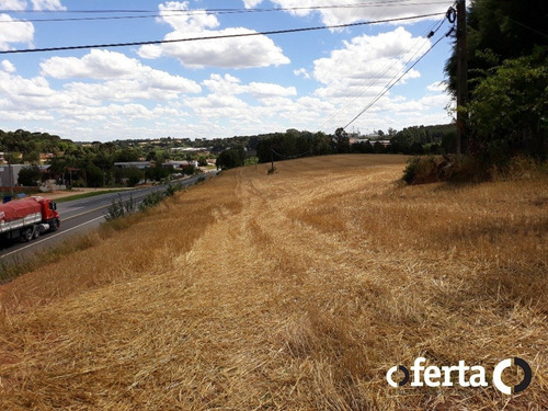 Terreno - Centro - Ref: 270 - V-270