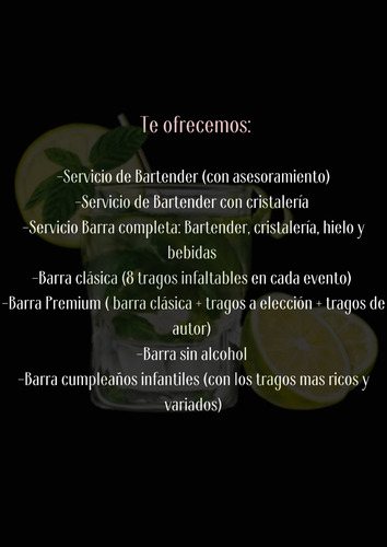 Imagen 3 de 9 de Barman Y Barra Móvil Para Eventos