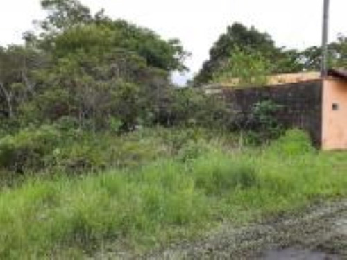 Imagem 1 de 2 de 6502 | Terreno Com 360 M², No Bal Gaivotas, Analisa Parcelas