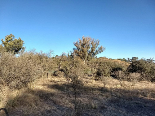 Imagen 21 de 30 de Terrenos En Las Sierras