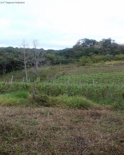 Imagem 15 de 18 de Sitio À Venda No Monjolada - Guiapiara/sp - St00246 - 68125721