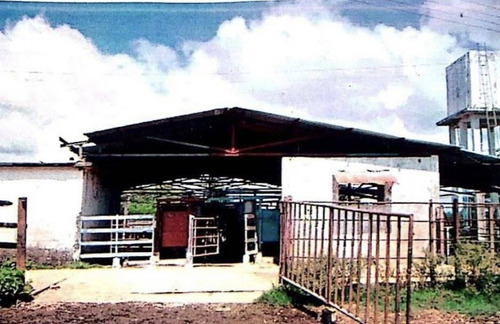 Century21 Vende Terreno De 100 Hectáreas