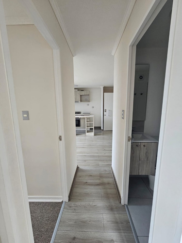 Arriendo 3 Dormitorios 1 Baño Desiderio Sanhueza 160