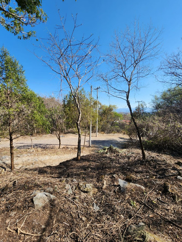 Venta Lote Iris I Muy Plano Y De Bonita Vista Además De Doble Frente En Doble Calle Con Proyecto Incluído En Fracc Rancho San Diego Ixtapan De La Sal Edomex