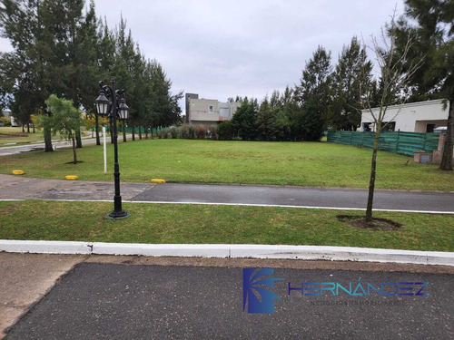 Venta Lote A La Laguna Barrio El Principado