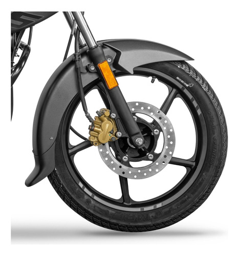Bajaj Rouser Ls 125