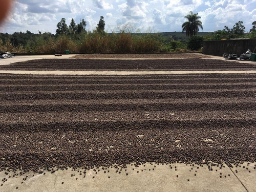 Imagem 19 de 30 de Sítio À Venda, 150000 M² Por R$ 550.000,00 - Largo Santa Cruz - Espírito Santo Do Pinhal/sp - Si0013