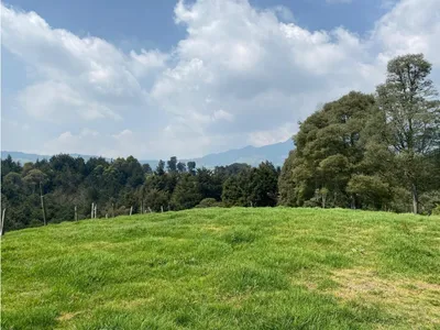Lote y casalote en venta