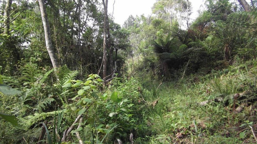 Terreno Em Chácara Recanto Verde, Cotia/sp De 0m² À Venda Por R$ 250.000,00 - Te751436