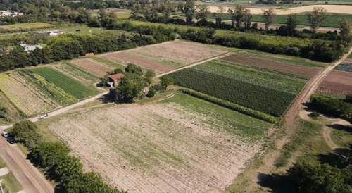 Imagen 3 de 5 de Remax Vende Lote N° 68 Loteo San Miguel