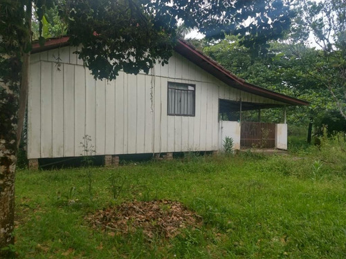 Charmosa Chácara Localizada Na Vila Das Palmeiras - Ch0139