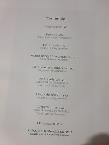 Tajín Gobierno Del Estado De Veracruz Textos De Bruggeman (Usado)