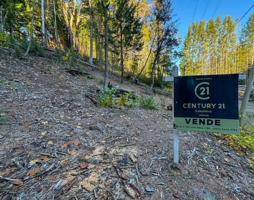 Pventa De Lote De 1452 M2 En Península De Manzano, Villa La Angostura./ppspan Style= Back...