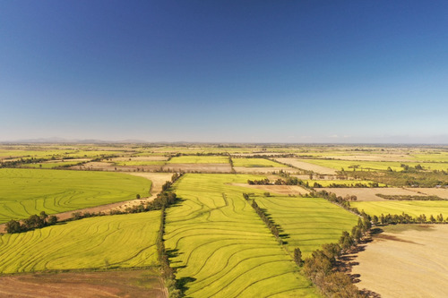 Campo Sector Fuerte Viejo