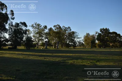Campo en venta