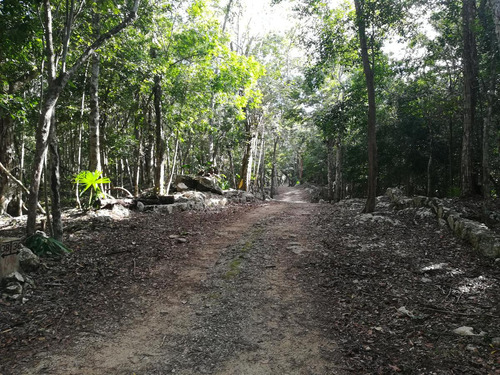 Lote Ecològico En Venta A 8 Minutos De La Estación Del Tren Maya Coba-tulum (1288)