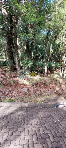 Imagem 2 de 16 de Terreno A Venda Na Serra Gaucha - 1085