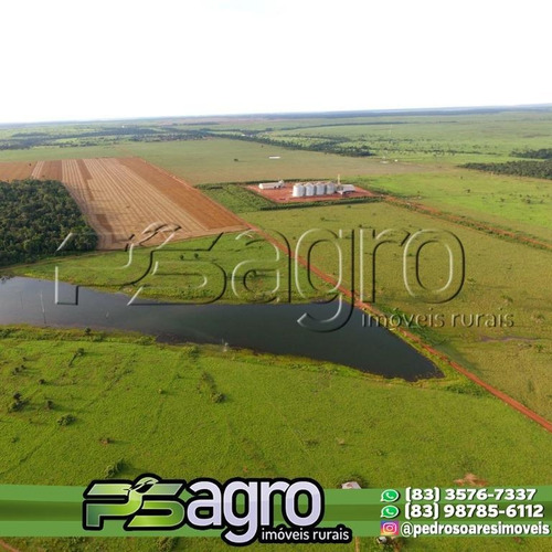Imagem 9 de 9 de Fazenda À Venda, 320000 M² Por R$ 700.000.000,00 - Zona Rural - Brasnorte/mt - Fa0229