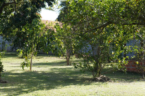 Imagem 6 de 14 de Linda Chácara Em Sarapuí - 2100 M2 Murada Com Piscina