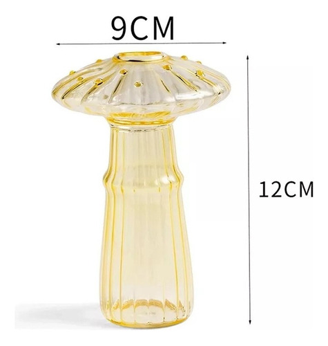 Decoración Del Florero De Cristal De La Maceta Hidropónica