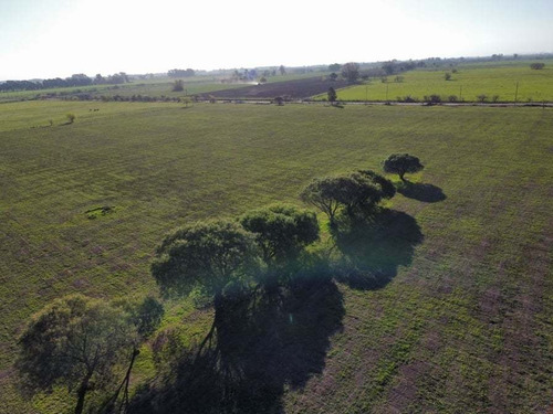 Imagen 4 de 8 de Campo En Marcos Paz