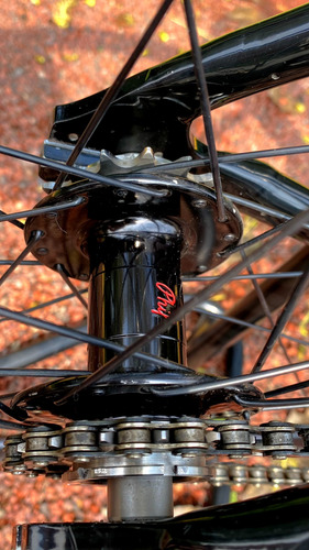 Bicicleta Velove Torro V2 Steel Fixie Fixed Negro L (Usado)